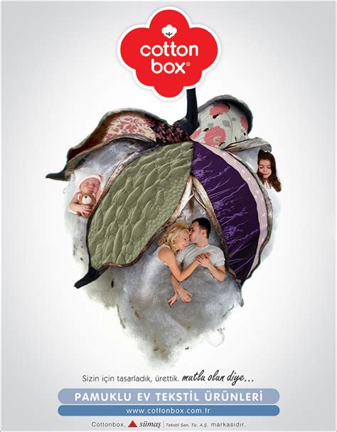 Cotton Box on Behance