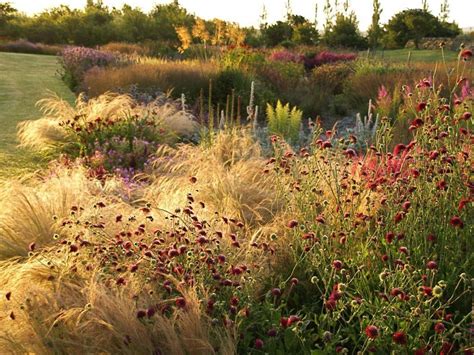 Redo Your Landscape Without The Help Of A Professional | Prairie garden, Dutch gardens, Meadow ...