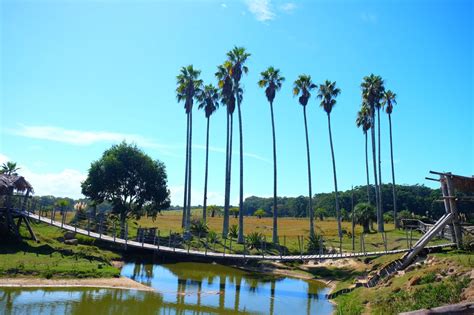 √ Natural Parks Around Uruguay