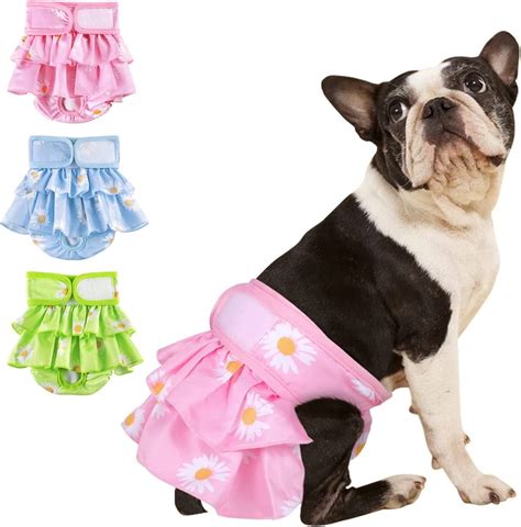 Female Dog In Heat Diapers | lupon.gov.ph