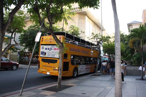 Waikiki Trolley Hop-On Hop-Off Tours: Price, Schedule, Map - Any Tots