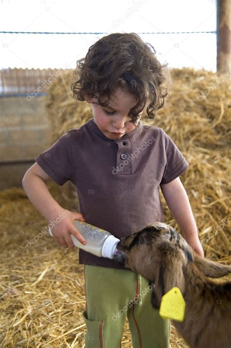 Boy feeding baby goat — Stock Photo © NoamArmonn #2212272