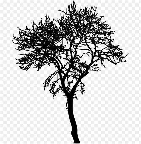 Download jungle tree silhouette transparent png - Free PNG Images | TOPpng