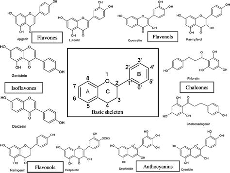 Flavonoids: an overview | Journal of Nutritional Science | Cambridge Core