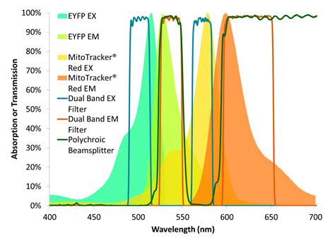 Next-Generation Thin-Film Optical Filters for Life Sciences – Alluxa Optical Filters and Thin ...