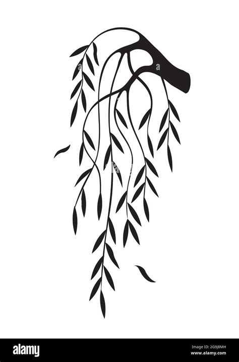 Weeping Willow tree branch silhouette. Illustration of melancholy ...