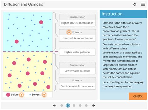 LearnSci LabSim: Diffusion and Osmosis