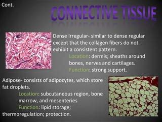 Anatomy body tissues | PPT