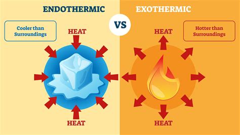 Endothermic Reaction Examples For Kids