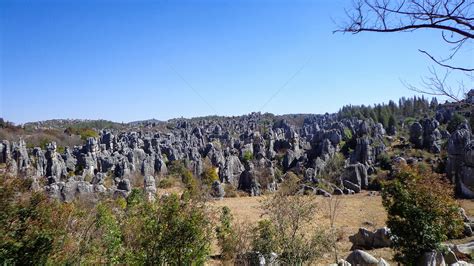 Stone Forest Landscape Picture And HD Photos | Free Download On Lovepik