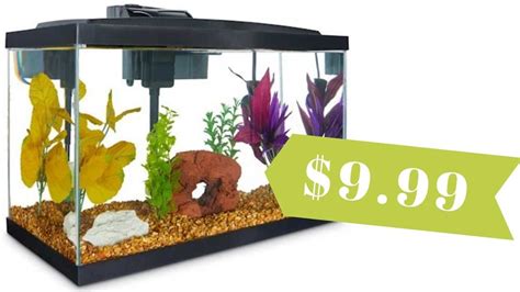 Aqueon Standard Glass Aquarium Tank 10 Gallon | ubicaciondepersonas ...