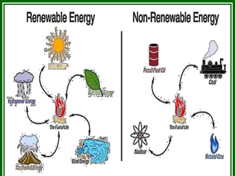 Renewable Resources: Five Examples Of Renewable Resources