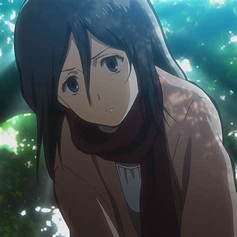 Image - Mikasa Ackermann (Anime) character image (845).png | Attack on Titan Wiki | FANDOM ...