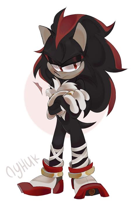 ``Project Shadow`` | Sonic Rp&Art Amino