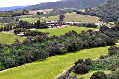 The Central Coast’s earth-friendly wineries