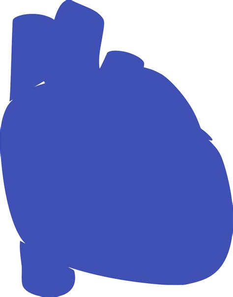 SVG > human anatomy heart - Free SVG Image & Icon. | SVG Silh