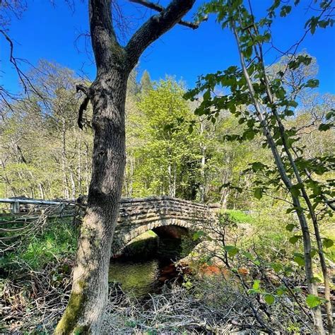 Goathland waterfall circular. This walk takes in the waterfalls of Mallyan Spout and Thomason ...