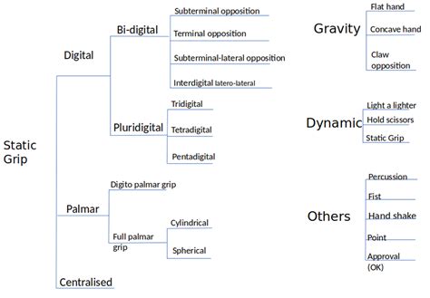 Human hand grip types [46]. | Download Scientific Diagram