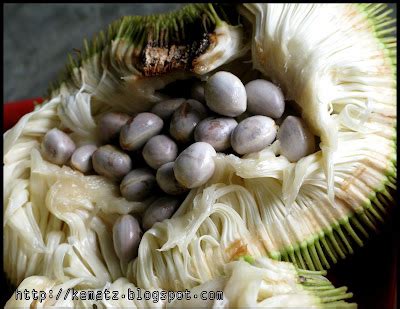 Marang Season | ALL TAUSUG