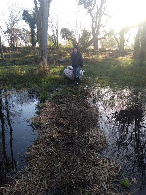 Cothill Fen, 5th December 2020