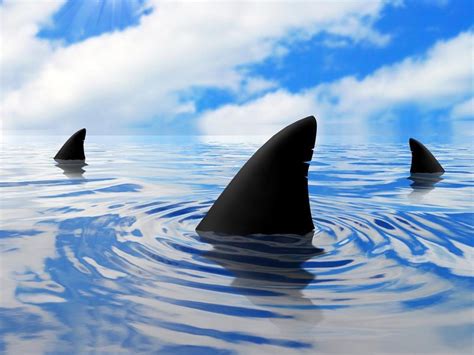 Shark Tank: Why Sharks Ask for Royalties and Loans - AllBusiness.com