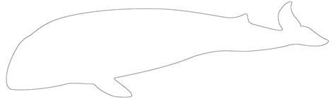 Whale Printable Template