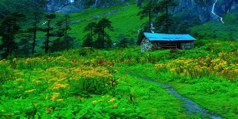 Makalu Barun National Park - Tiger Encounter