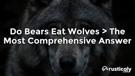 Do Bears Eat Wolves > Everything You Need To Know