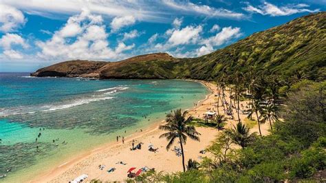 15 Places for the Best Snorkeling in Oahu, Hawaii