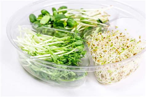 How to Harvest Microgreens: Tips and Strategies for Success » RusticWise