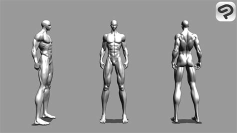 ArtStation - Clip studio model set | Resources