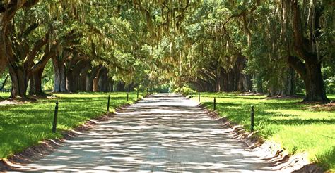 Louisiana, Laura, Oak Alley, or Whitney Plantation Tours - SuiteTrails