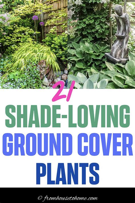 I LOVE these perennial ground cover plants that love the shade. There ...