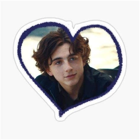 Pin by Ana María on cool | Timothee chalamet, Love stickers, Stickers