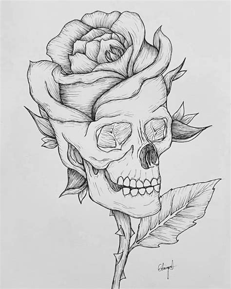 Rose Skull Illustration - Etsy