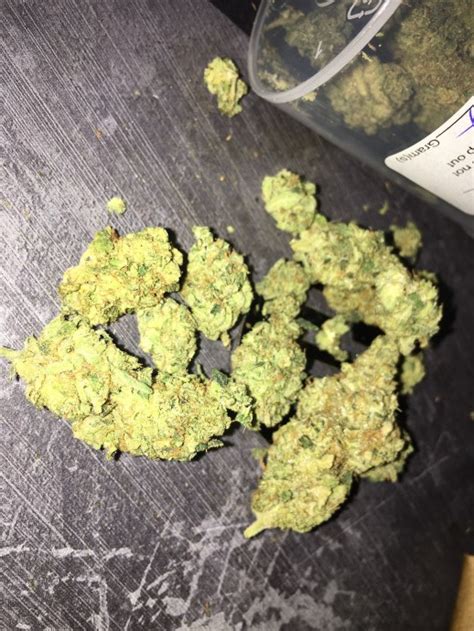 Gelato Strain Review | Real. Functional.