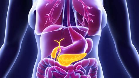 Understanding Pancreas Transplantation - Dr Sunil Shenvi | Liver, Pancreas & Multiorgan ...