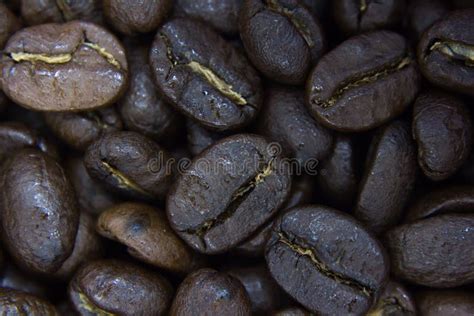 Coffee bean close up stock photo. Image of beans, macro - 83317372