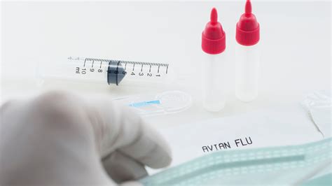 Avian flu vaccine for birds being tested, ending outbreak brings ...