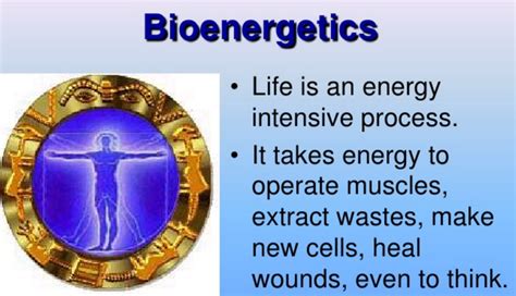 Bioenergetics – Learn Self Healing Techniques Online