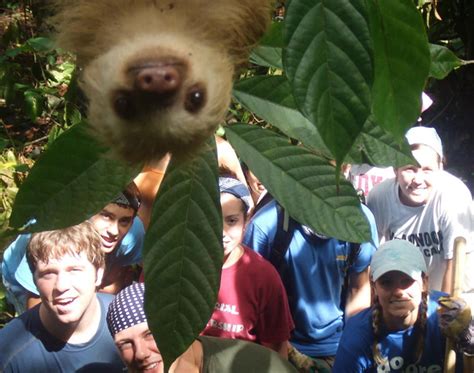 10+ Of The Funniest Animal Photobombs Ever | Bored Panda