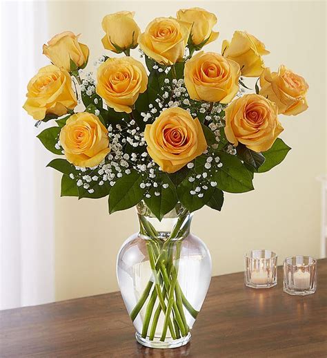 Rose Elegance™ Premium Long Stem Yellow Roses | 1800Flowers - 90021