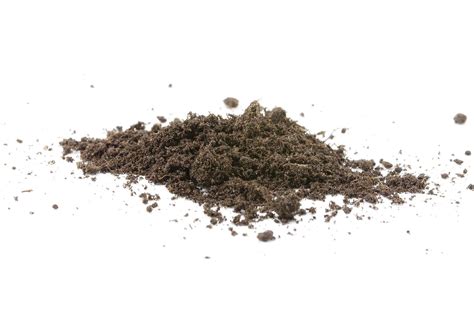 Peat Moss – Ground Up Soil