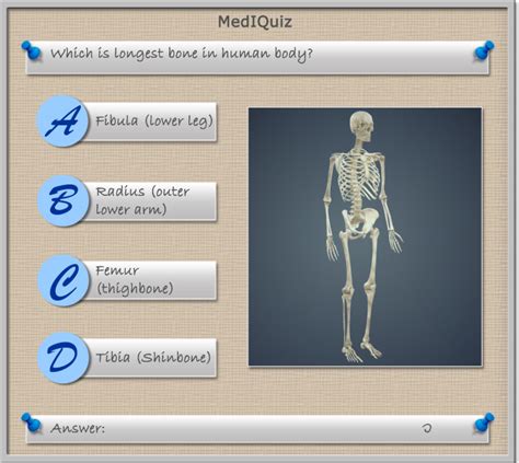 Longest bone in the human body? - Scientific Animations