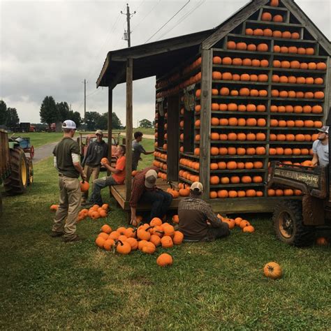 Pumpkin House: A Great Way to Spice up Your Backyard This Halloween