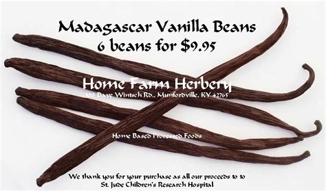 Madagascar Vanilla Beans Organic Order now, Limited supply : Home Farm Herbery