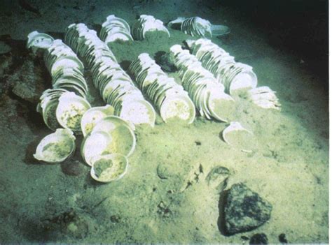 Plates still in the positions that they had been stacked in, at the debris field that surrounds ...