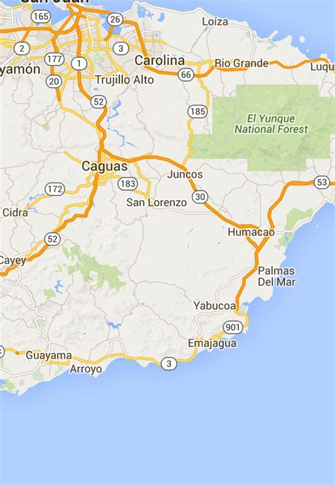 Enjoy Lechon and Local Music in Guavate | Day trips, Puerto rico, Lechon