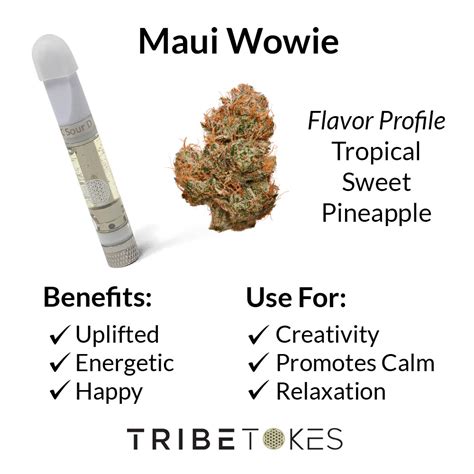 Shop Maui Wowie Strain (Sativa) - TribeTokes