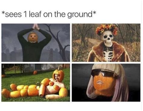 39 Pumpkin Spice Memes Images Quotes and Puns to Spice up Your Fall - SliControl.Com